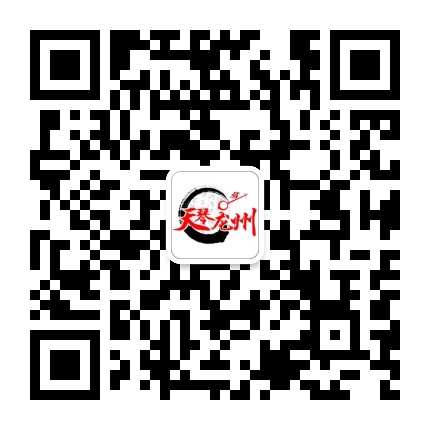 天琴龙州网公众号二维码