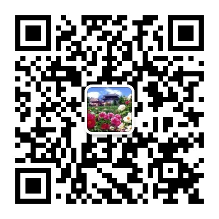 鄄城卫生健康公众号二维码