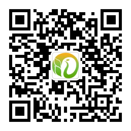 景洪新农村公众号二维码
