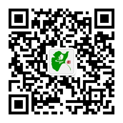 东台新街公众号二维码