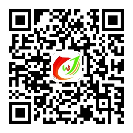 金塔卫生健康公众号二维码