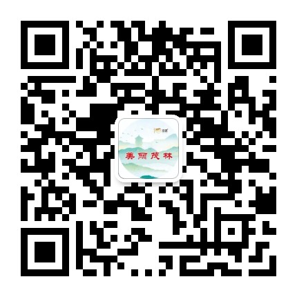 茂林镇人民政府公众号二维码