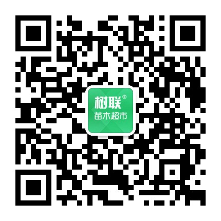 树联生态公众号二维码