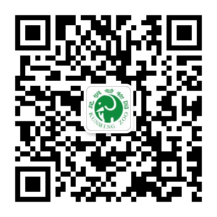 昆明动物园公众号二维码