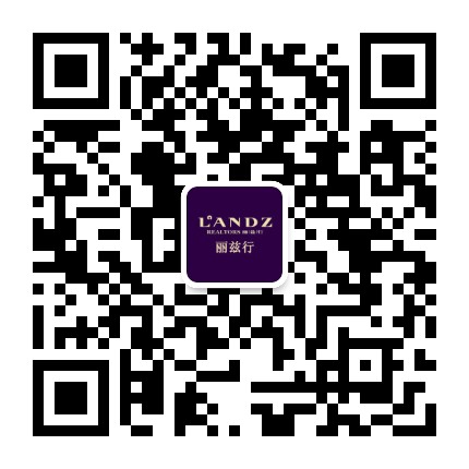 丽兹行