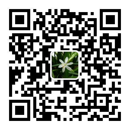 兰新墙面施工公众号二维码