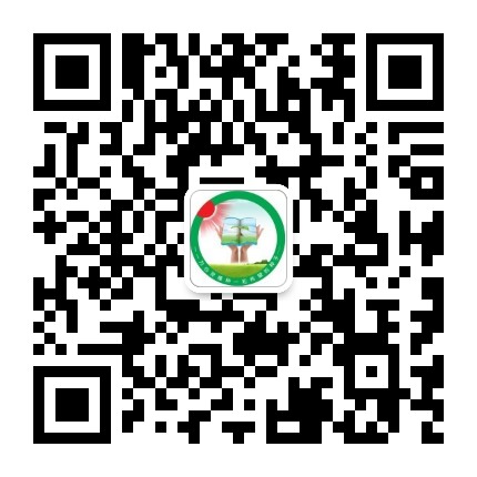 漯河市教育局