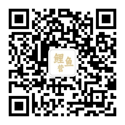 鲤鱼营公众号二维码