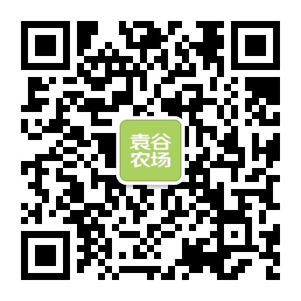 袁谷官方微信公众号