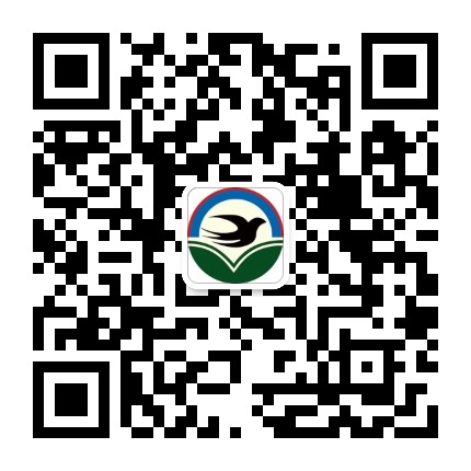 滦平教育公众号二维码