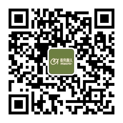 麦克趣儿官方微信公众号