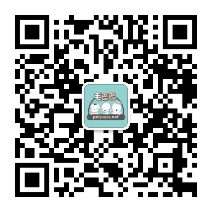 毛巴巴宠物公众号二维码
