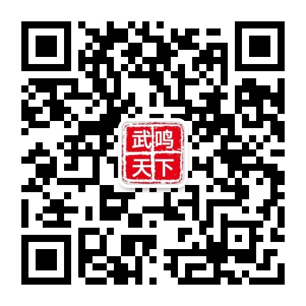 武鸣人天下公众号二维码