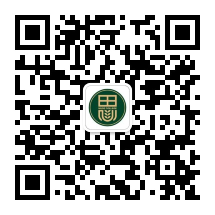 香港中文大学深圳思廷书院公众号二维码