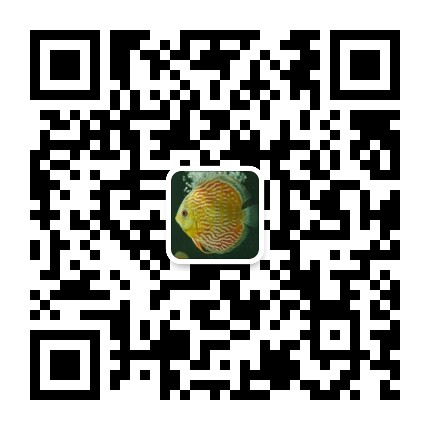 野彩那点儿事儿官方微信公众号