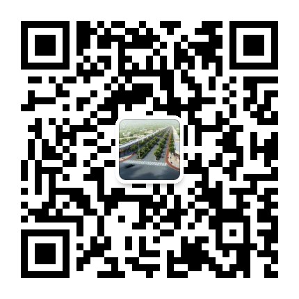 锦江明珠生态石岗公众号二维码