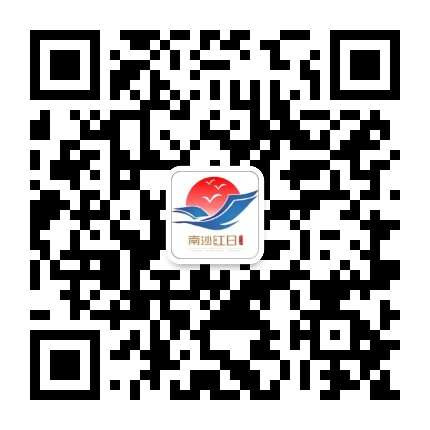 广州市南沙区红日职业培训学校公众号二维码