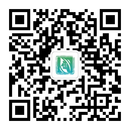 浦东环境