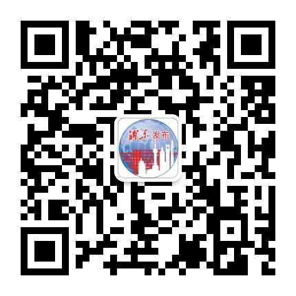 浦东发布