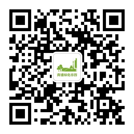青浦绿化市容公众号二维码