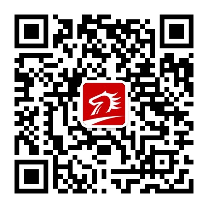 大佛山人才网