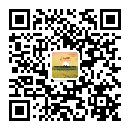 水稻科学杂志公众号二维码