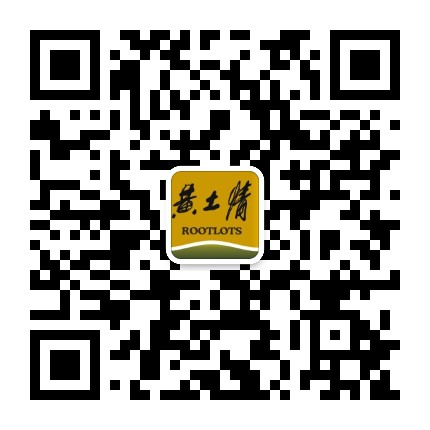 黄土情官方微信公众号