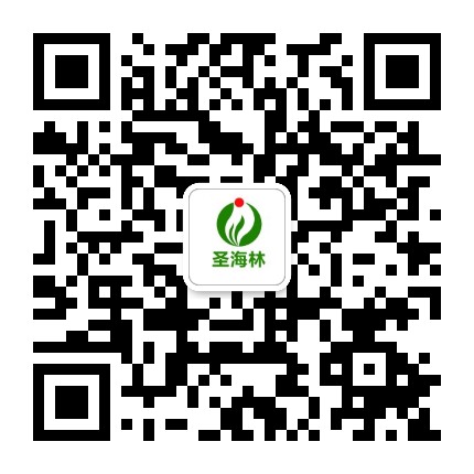 圣海林公众号二维码