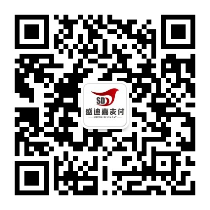 盛迪嘉支付