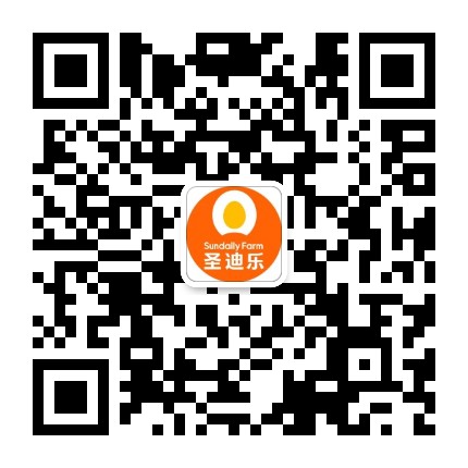 圣迪乐鲜蛋官方微信公众号