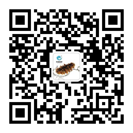 山东威海海参公众号二维码