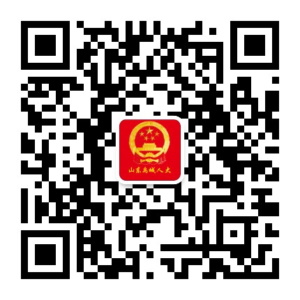 禹城人大公众号二维码
