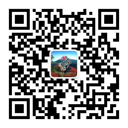 山亭印象公众号二维码