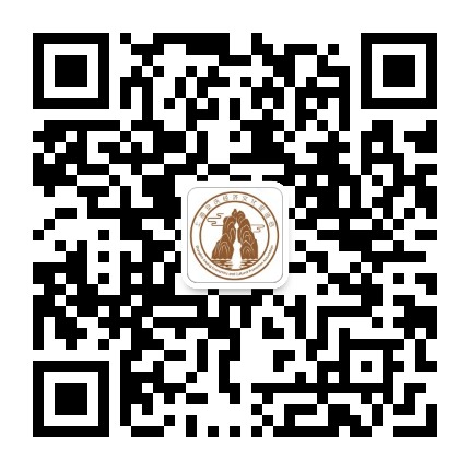 上海安庆经济文化促进会公众号二维码