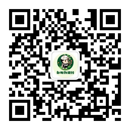 白相到闵行公众号二维码