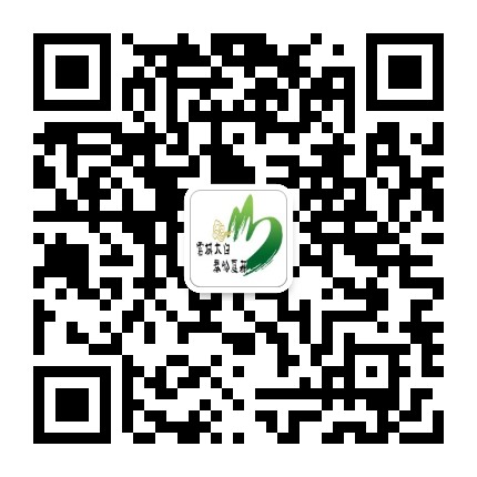 太白发布公众号二维码
