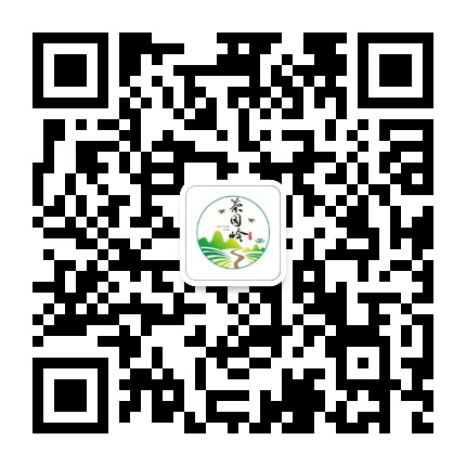 美丽茶园岭公众号二维码