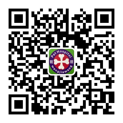 世宠宠物医院公众号二维码