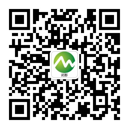 武都生活网公众号二维码