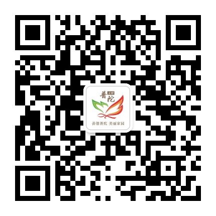 文明普陀公众号二维码