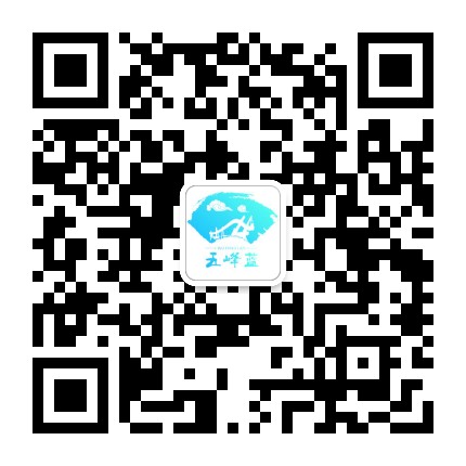 五峰蓝官方微信公众号