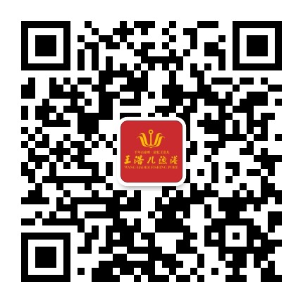 乐山王浩儿渔港公众号二维码