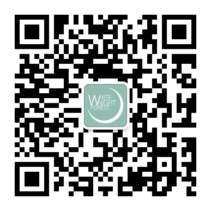 白夜森林WhiteNightForest官方微信公众号
