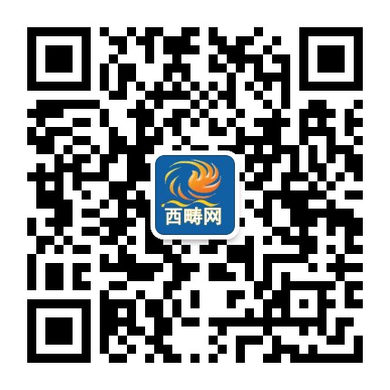 西畴网公众号二维码