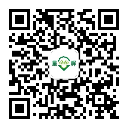 星辉蔬菜官方微信公众号