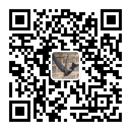 钟楼上的雀公众号二维码