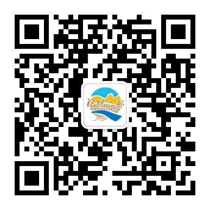 巴楚政务公众号二维码