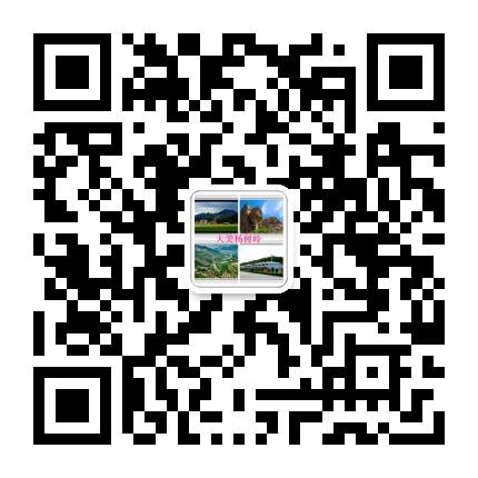 大美杨树岭公众号二维码