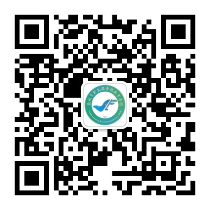盐城市解放路教育集团解放路学校公众号二维码