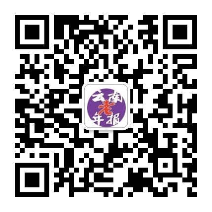 云南老年报公众号二维码